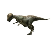 Pachycephalosaurus