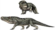 Garjainia madiba restoration.jpg.png (620 KB)