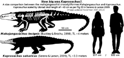 Kaprosuchus Dinopedia Fandom