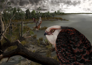 Art reconstruction of Archaehierax sylvestris