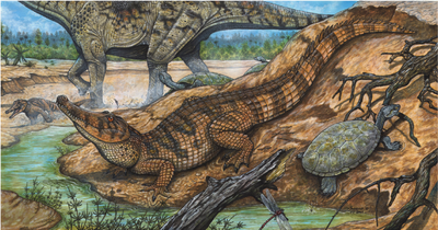 Figura-3-Reconstrucao-artistica-de-Pepesuchus-deiseae-crocodiliforme-de-habitos.png