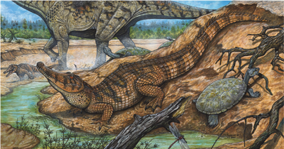 Figura-3-Reconstrucao-artistica-de-Pepesuchus-deiseae-crocodiliforme-de-habitos