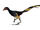 Jinfengopteryx