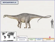 Size comparison of N. alarconensis alongside a human, illustrated by CisioPurple.