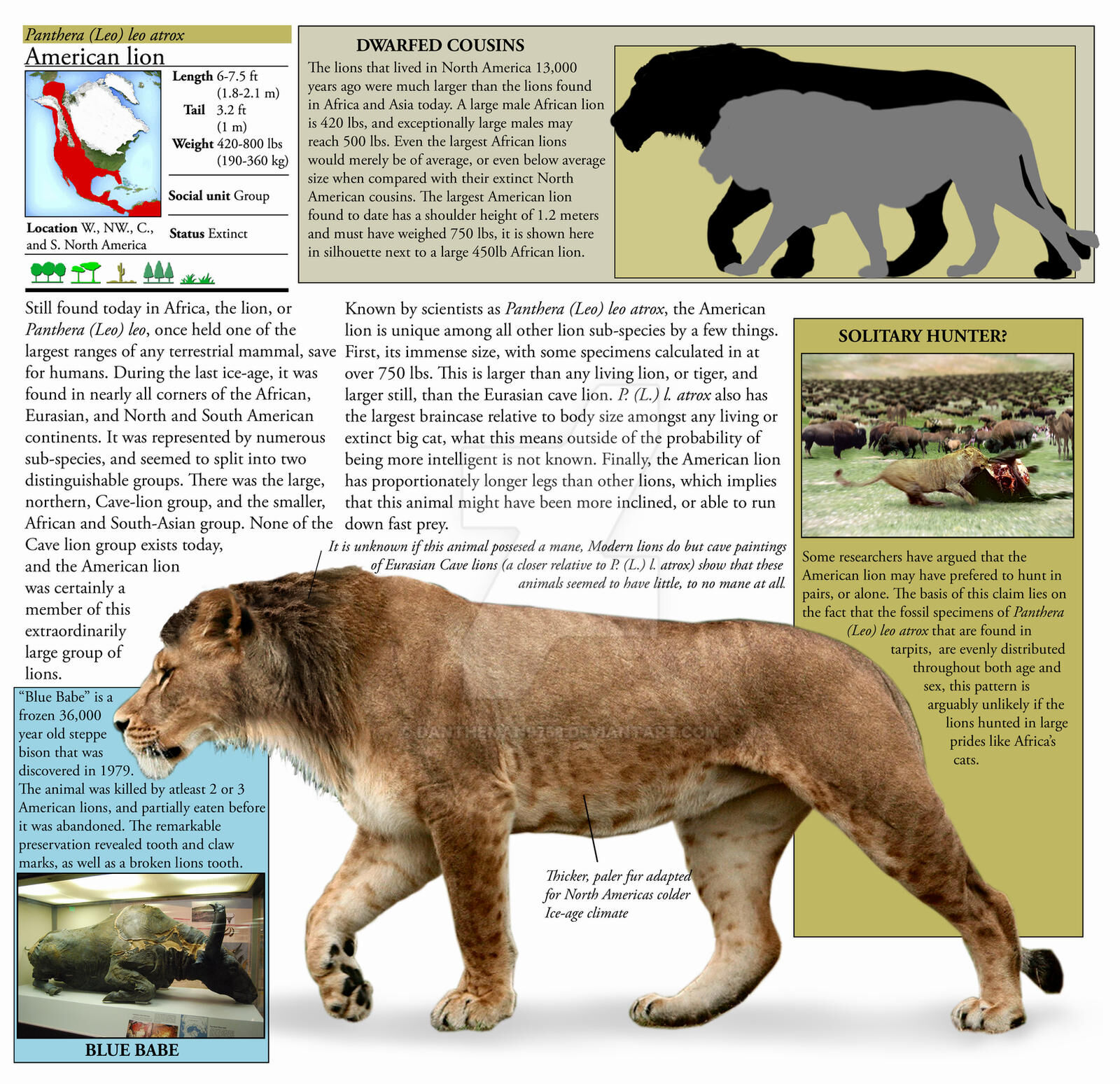 prehistoric predators american lion