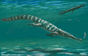 Rhamphosuchus