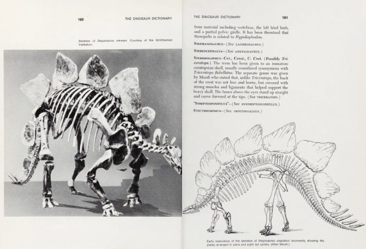 Streptospondylus Dinopedia Fandom