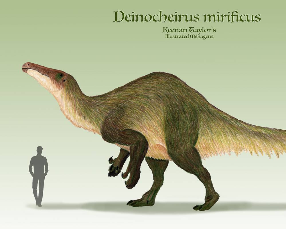 Deinocheirus Animal Facts  Deinocheirus mirificus - A-Z Animals