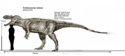 Size comparison of Embasaurus