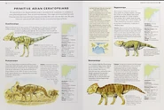Cretaceous primitive Asian ceratopsians.png (571 KB)