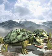 Meiolania(named Giant Tortoise), as it appears in Zoo Tycoon: Dinosaur Digs