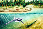 Life reconstruction of Fluvionectes sloanae