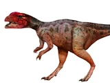 Piatnitzkysaurus