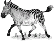 Equus simplicidens.gif (37 KB)