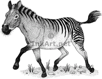 Equus simplicidens