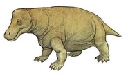 Jonkeria boonstrai.