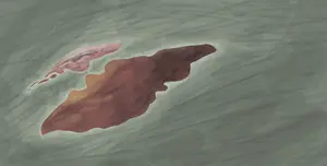  the Second Outdated map