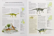 Triassic primitive sauropodomorphs.png (596 KB)