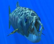 6785289840 613f38a266 b.jpg (70 KB)