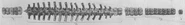 Leurospondylus spine.