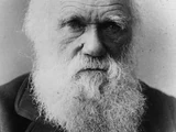 Charles Darwin