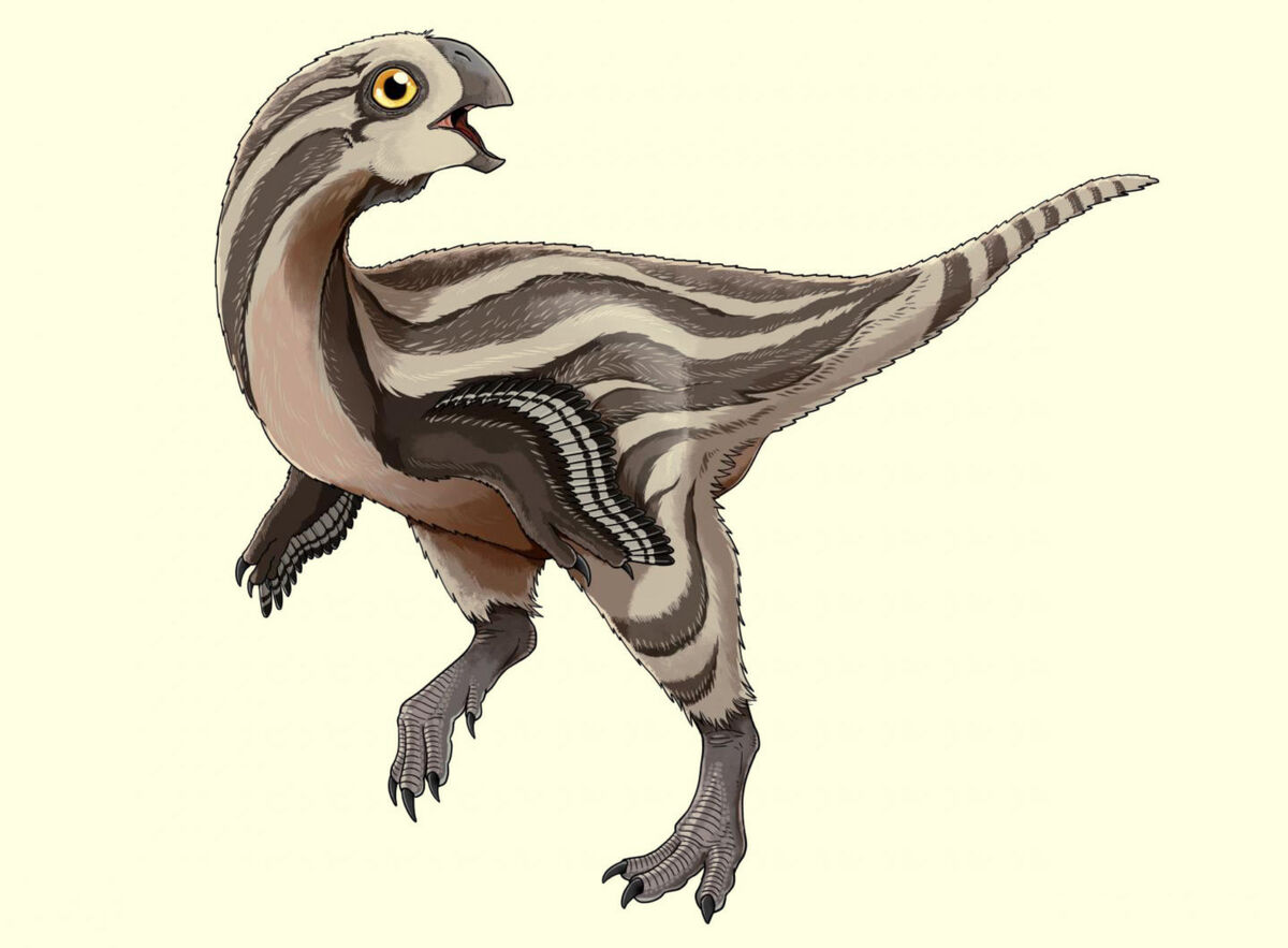 Gobiraptor | Dinopedia | Fandom