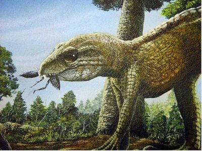 Libycosuchus