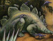 Sleeping Stego.jpg (404 KB)