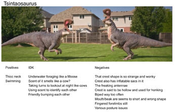 DinoDex TsintaoProfile