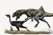 Concavenator jagar Pelecanimimimus