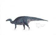 Maiasaura concept 1.jpg