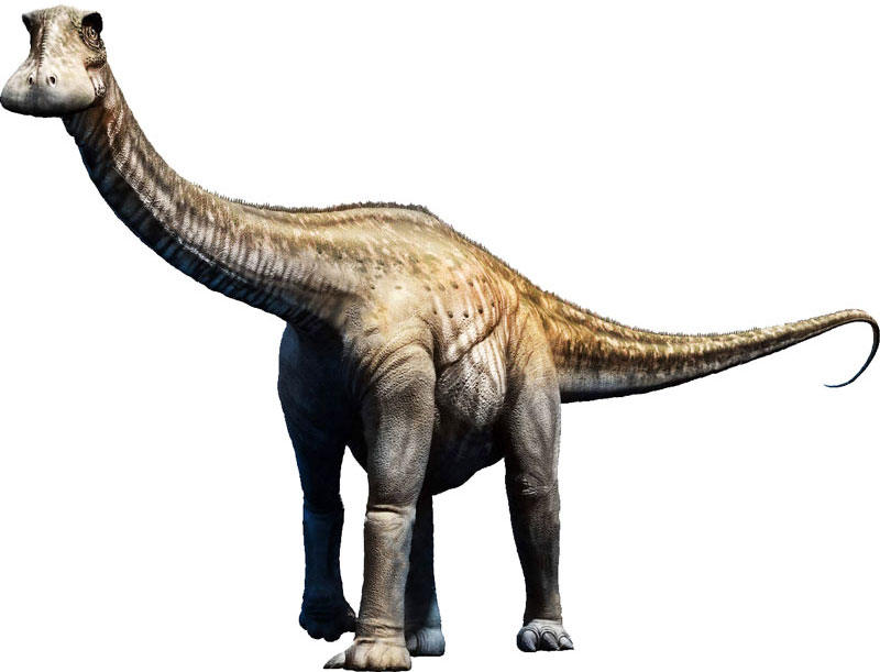 What dinosaur had 500 teeth. Смотреть фото What dinosaur had 500 teeth. Смотреть картинку What dinosaur had 500 teeth. Картинка про What dinosaur had 500 teeth. Фото What dinosaur had 500 teeth