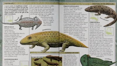 Discuss Everything About Dinopedia Fandom