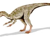 Compsognathidae