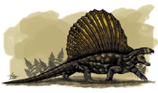 Dimetrodon Grandis