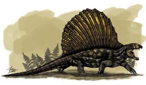 Dimetrodon Grandis.png