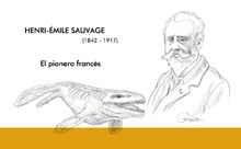 Sauvage