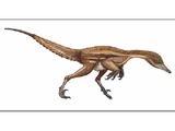 Byronosaurus