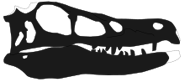 Linheraptor Skull.png (5 KB) The skull of a Linheraptor
