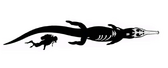 Machimosaurus-rex-size-comparison