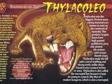 Thylacoleo