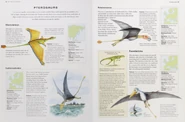 Triassic pterosaurs.png (561 KB)