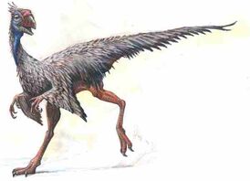 Caudipteryx