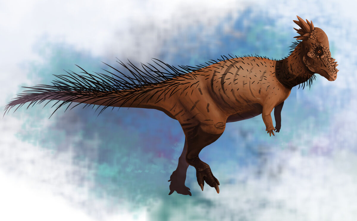 Pachycephalosaurus Dinopedia Fandom 7258