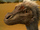 Dinosaur Planet