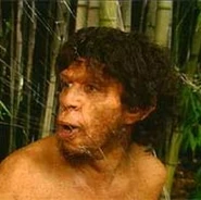 Homo ergaster erectus img5.jpg (9 KB) Homo erectus as they appeared in Walking with Cavemen.