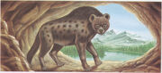 Iena delle caverne