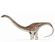 Barosaurus