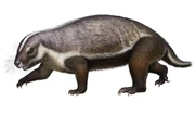 Life reconstruction of Adalatherium hui