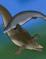 Ocucajea Supayacetus